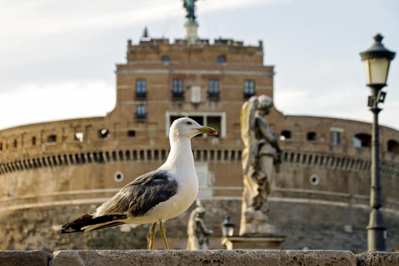 Roma Vatican 外观 照片